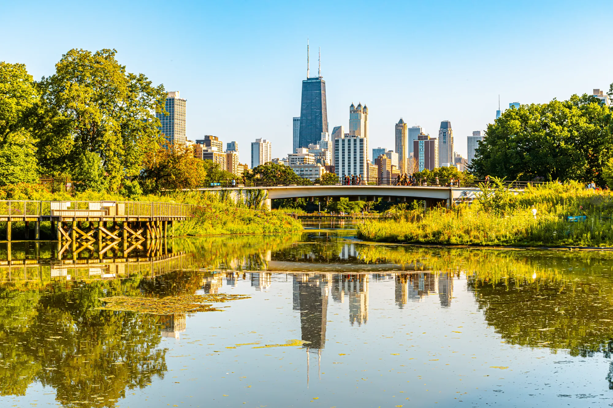 City Doubled — Landscape