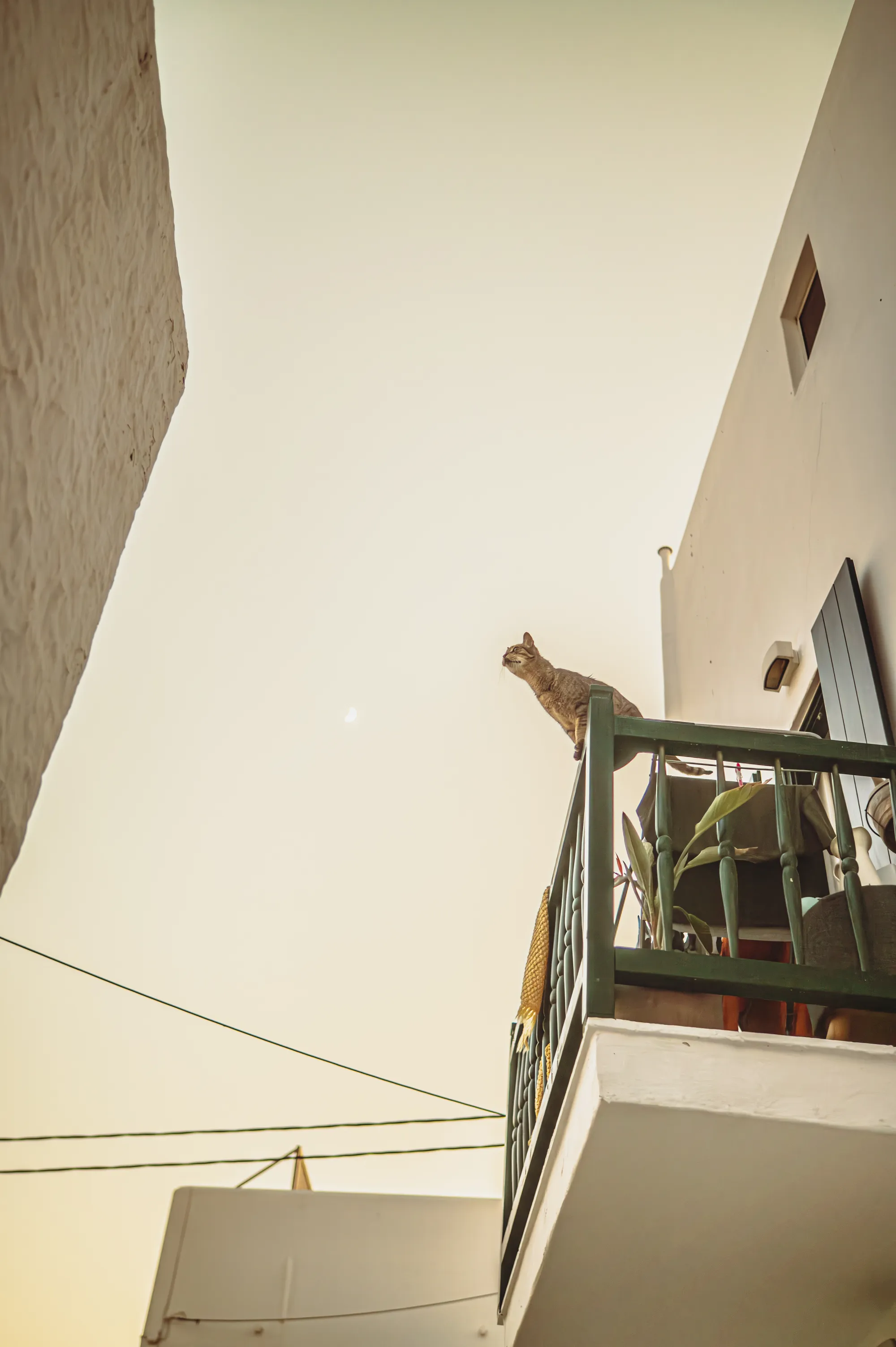 The Watcher — Street